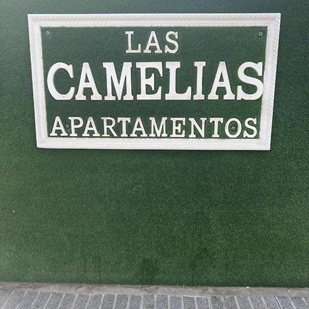 Yumbo Appartamenti Las Camelias Playa Del Ingles Kültér fotó